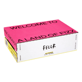 FELLR Pink Lemonade Seltzer Cans 330mL