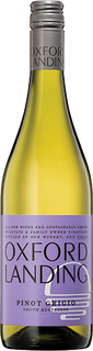 Oxford Landing Pinot Grigio 2023